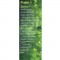 BOOKMARK - Psalm 1 (10-Pack)