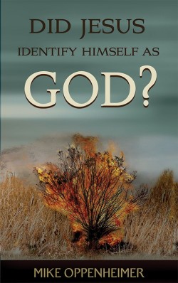 BOOKLET - Did Jesus Identify Himself as God?