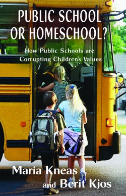 BOOKLET - Public School or Homeschool? How Public Schools are  Corrupting Children’s Values