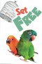 Set Free Gospel Tract- 10 Pack