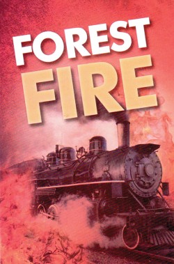 Forest Fire. . . Gospel Tract- 10 Pack