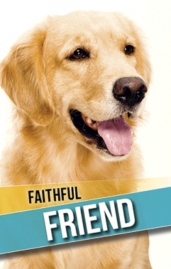 Faithful Friend - Gospel Tract (10 Pack)