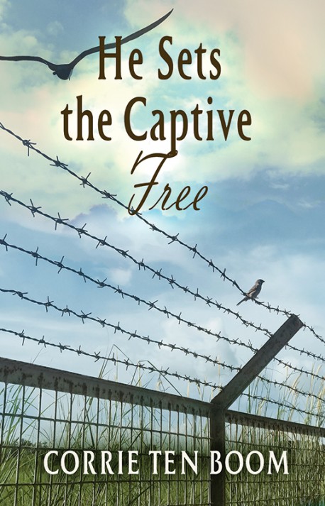MOBI BOOK -He Sets the Captive Free