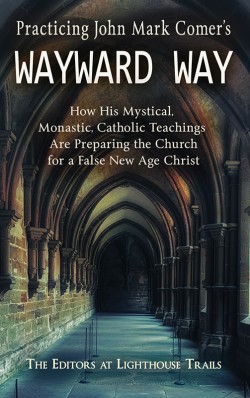 BOOKLET - Practicing John Mark Comer's Wayward Way